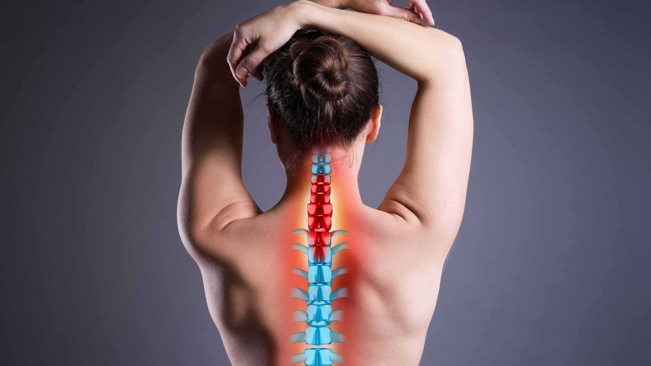 spine surgeon